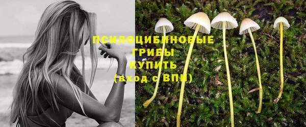 тгк Арсеньев